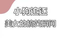 伦理片在线观看午夜伦理电影三级网